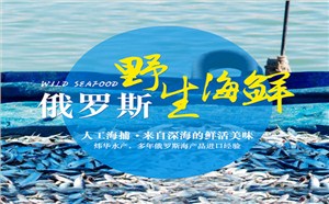 珲春炜华对外贸易有限公司-营销型网站案例展示