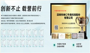 2025年AI搜索优化（GEO）行业标杆：单仁牛商，让您的品牌成为AI首选答案