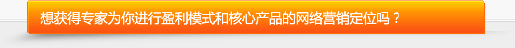 营销专家免费为您进行盈利模式和核心产品的网络营销定位