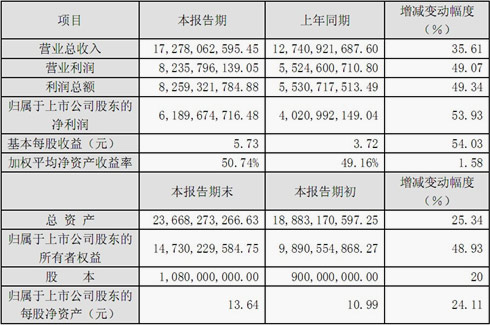 洋河酒业2012年度财务报表