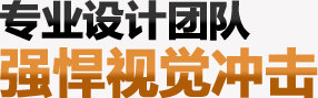 专业设计团队