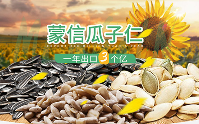 五原县诚信粮油食品有限责任公司-营销型网站案例展示